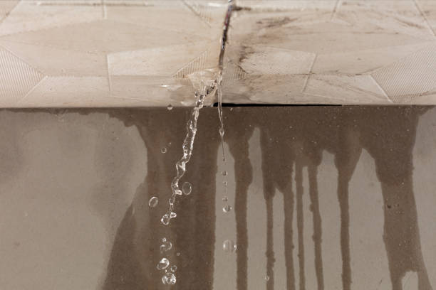Professional Sewage Cleanup technician working in Proctor, WV